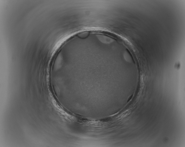 X0000112011279200908171434