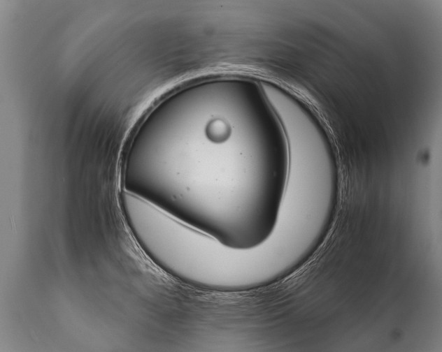 X0000112011280200908171434