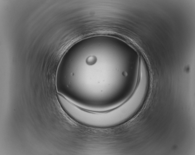 X0000112011281200908171434