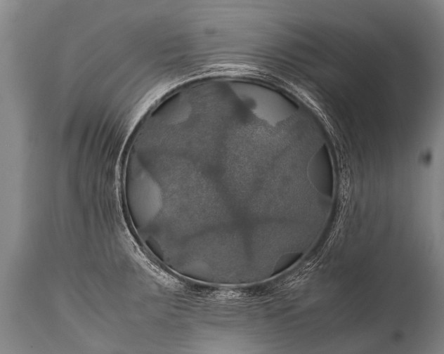 X0000112011283200908171434