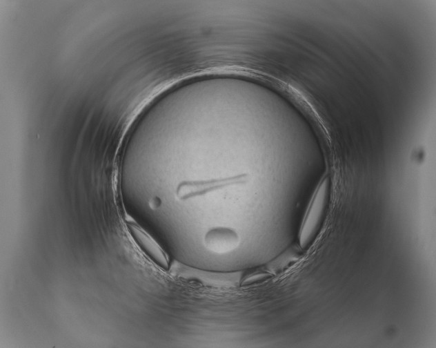 X0000112011284200908171434