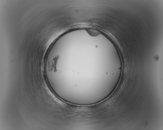 X0000112011285200908171434