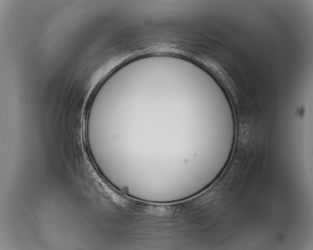 X0000112011286200908171434