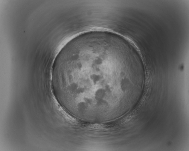 X0000112011287200908171434