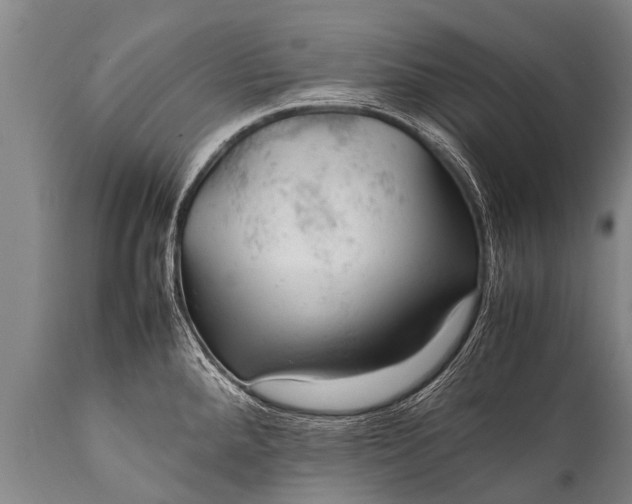 X0000112011288200908171434