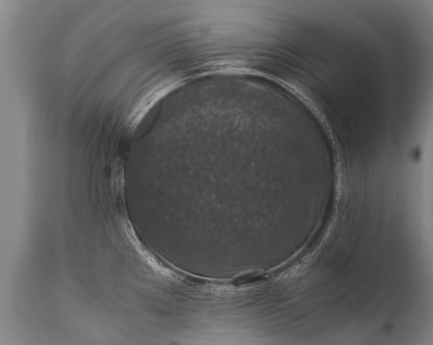 X0000112011289200908171434