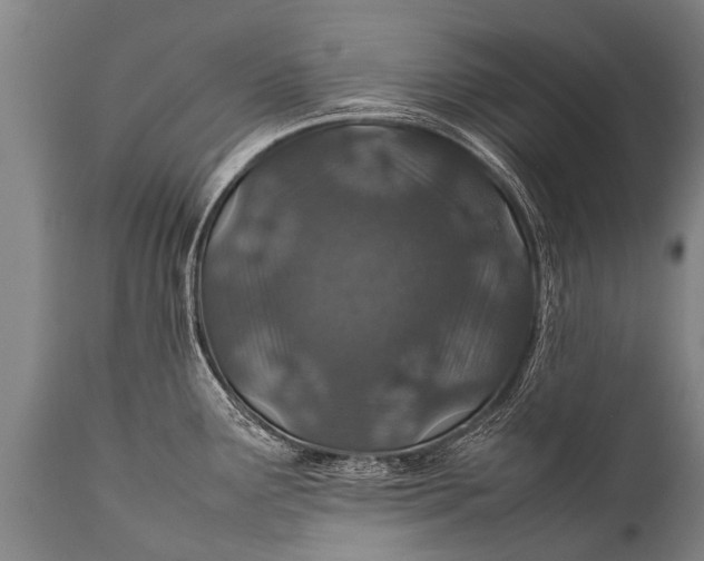 X0000112011291200908171434