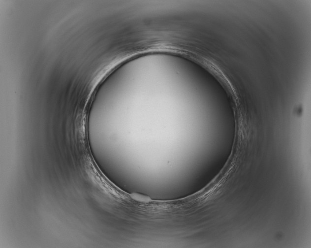 X0000112011292200908171434