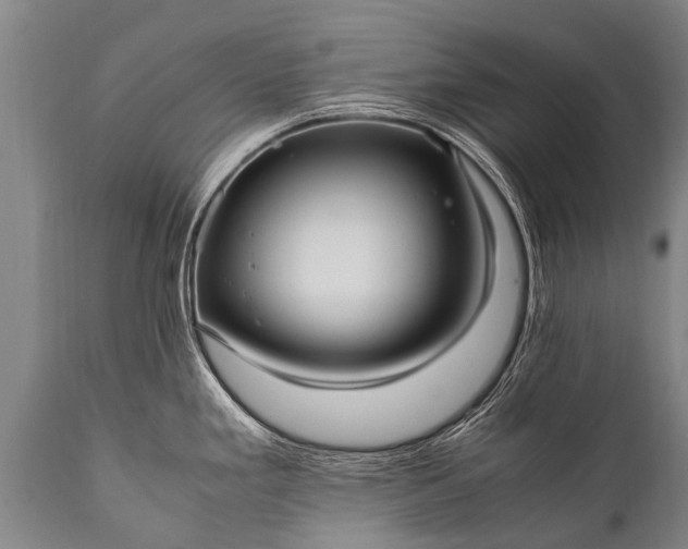 X0000112011293200908171434