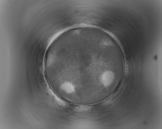 X0000112011294200908171434