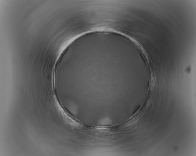 X0000112011295200908171434