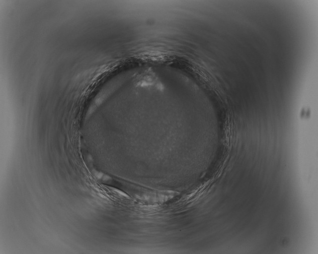 X0000112011297200908171433