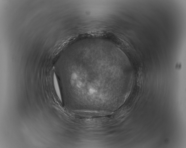 X0000112011298200908171433