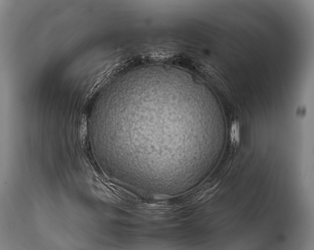 X0000112011299200908171433