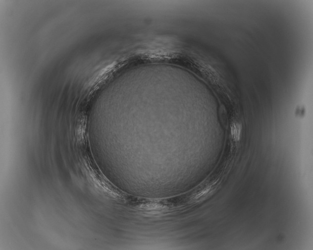 X0000112011300200908171433