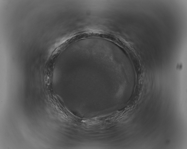 X0000112011303200908171433