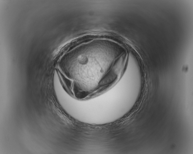 X0000112011304200908171433