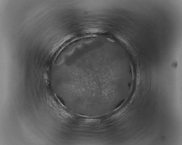 X0000112011305200908171433