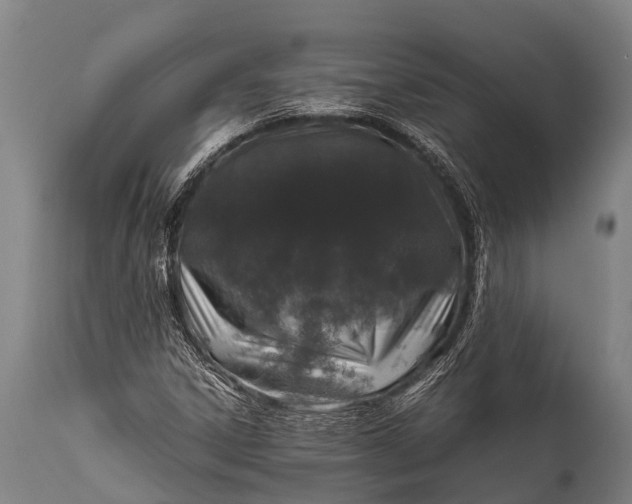 X0000112011306200908171433