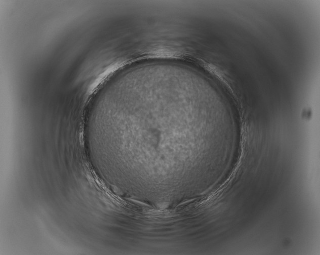 X0000112011307200908171433