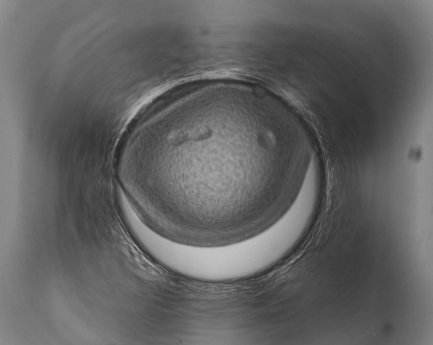 X0000112011308200908171433