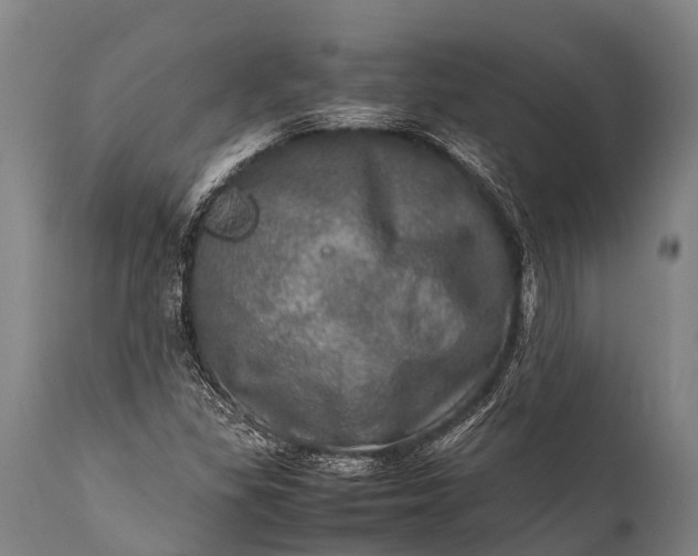 X0000112011309200908171433