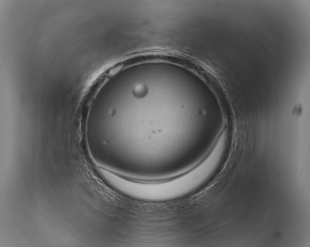 X0000112011310200908171433