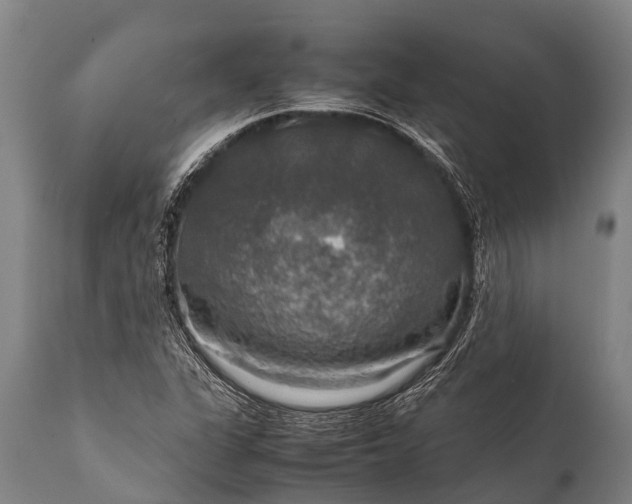 X0000112011311200908171433