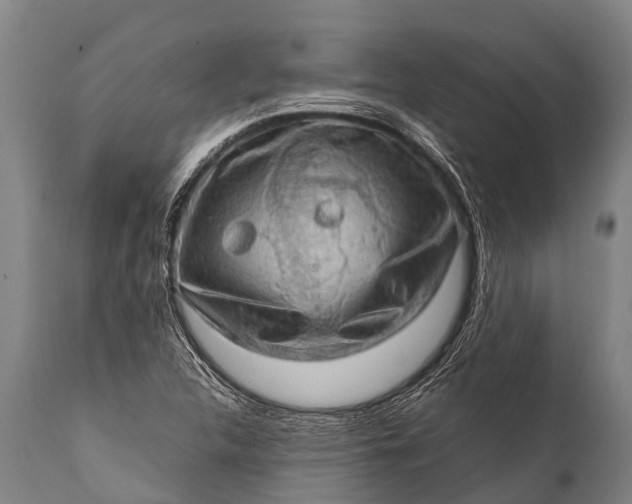 X0000112011312200908171433