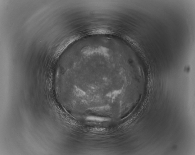 X0000112011313200908171433