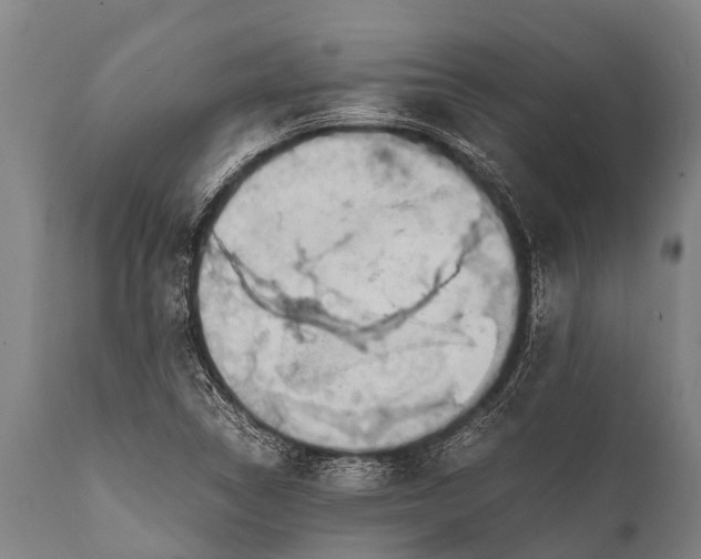 X0000112011314200908171433