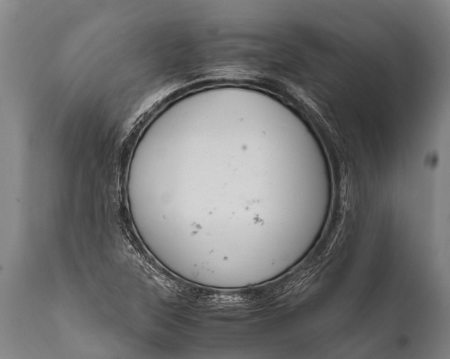 X0000112011315200908171433