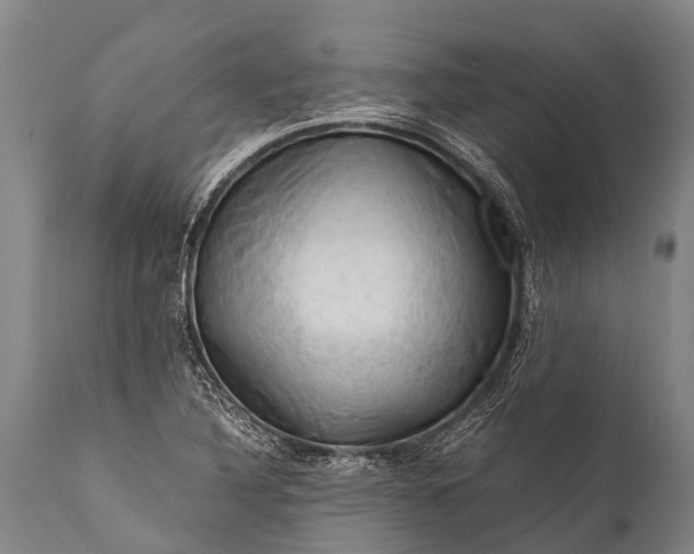 X0000112011316200908171433