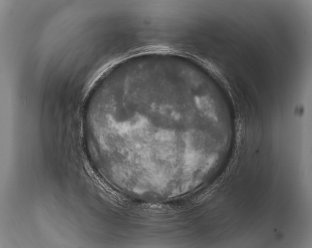 X0000112011318200908171433