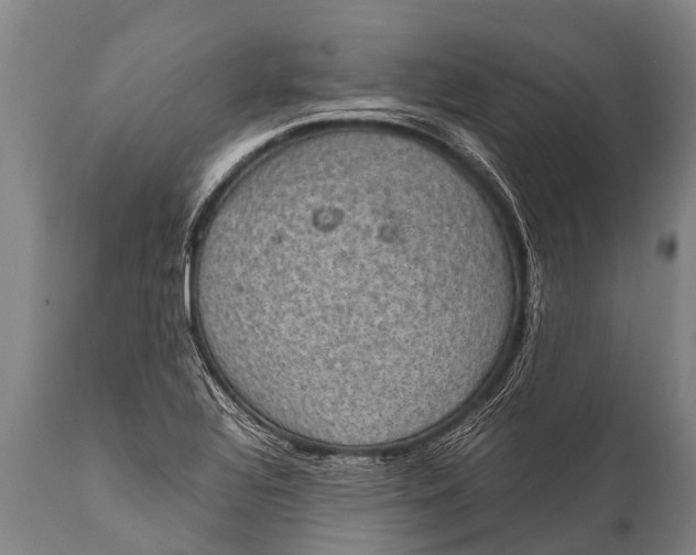 X0000112011320200908171433