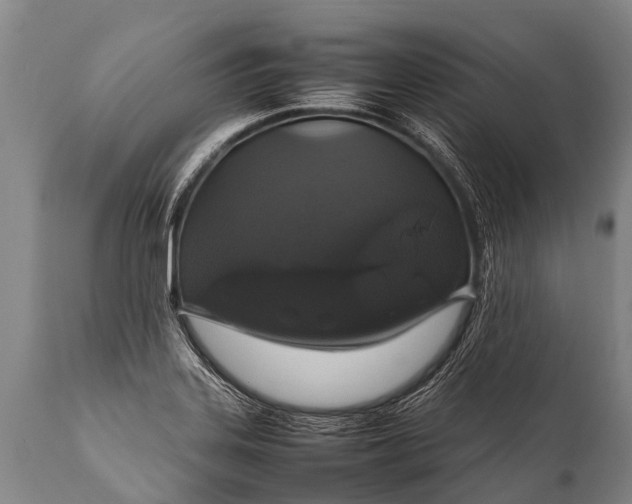 X0000112011323200908171433