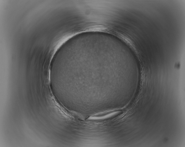 X0000112011324200908171433