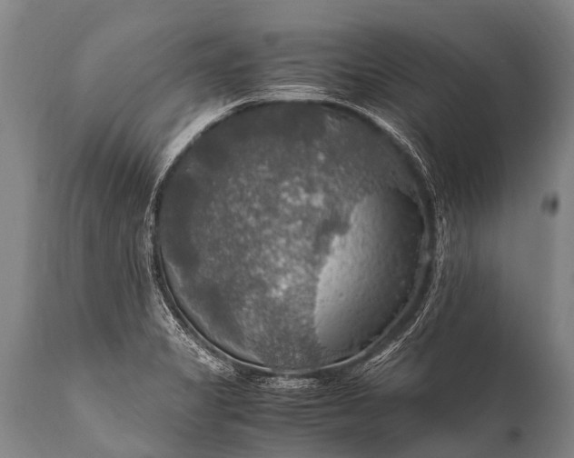 X0000112011325200908171433