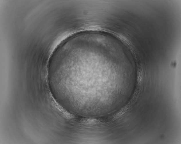 X0000112011326200908171433