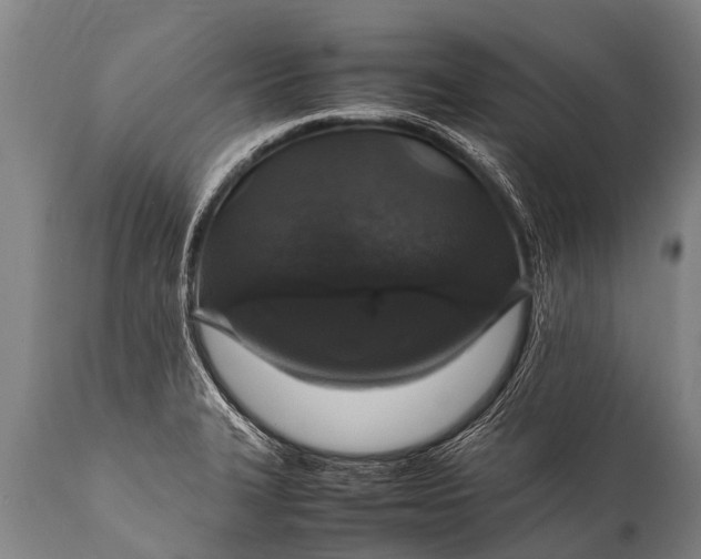 X0000112011327200908171433