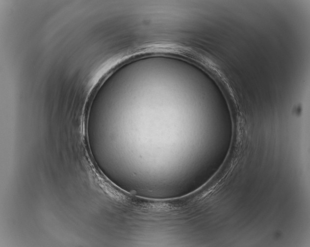 X0000112011328200908171433