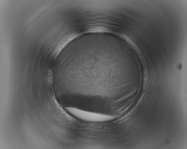 X0000112011329200908171433