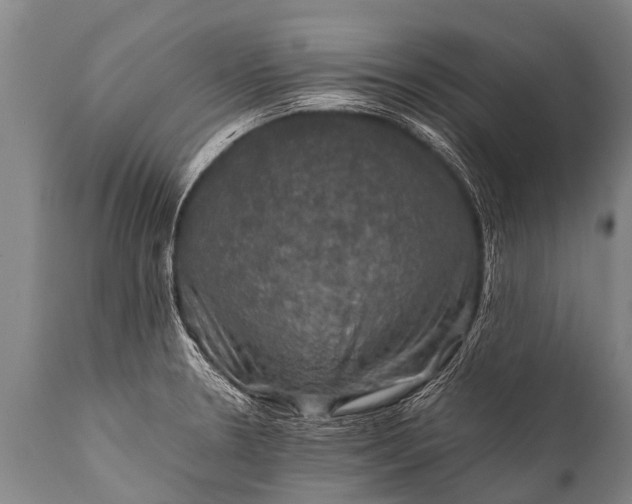 X0000112011330200908171433