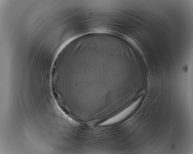 X0000112011331200908171433