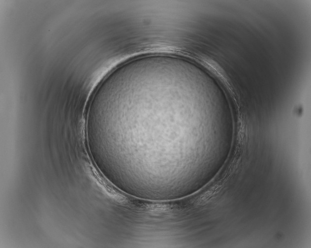 X0000112011332200908171433