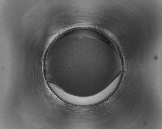 X0000112011334200908171434