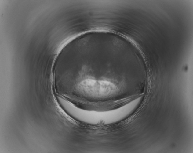 X0000112011335200908171434