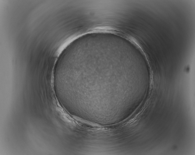 X0000112011336200908171434