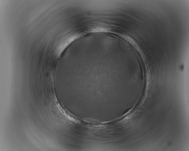 X0000112011337200908171434