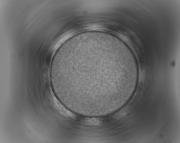 X0000112011338200908171434